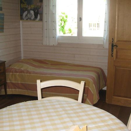 Bnb Atelier De St. Maurice Vésenaz Kültér fotó